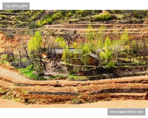 参赛车手称壶关赛道融合绝壁、深谷、溪流与村落景观，体验独特